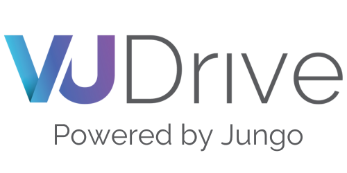 VisionDrive